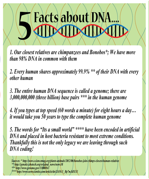 Fun Friday - Five Fantastic Facts about DNA and how to extract DNA from