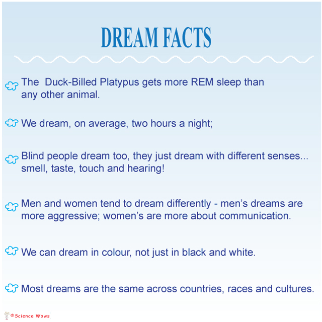 dream-facts
