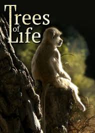 trees-of-life