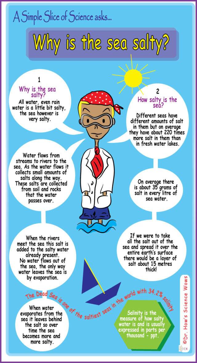 Why Is The Sea Salty Archives Dr How S Science Wows