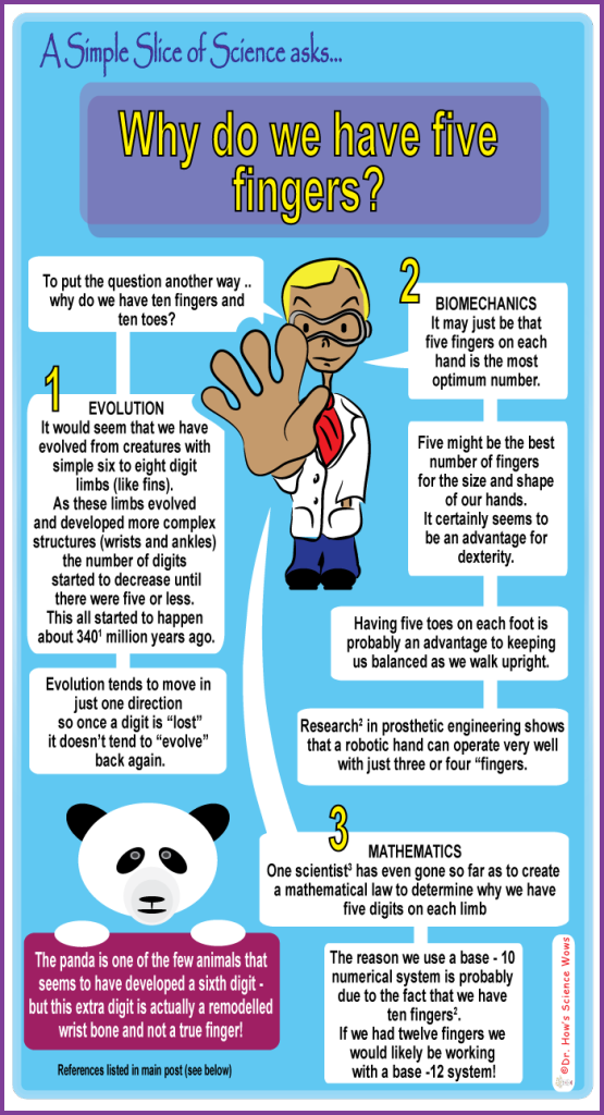 A Simple Slice of Science – Why do we have five fingers? – Dr. How's ...